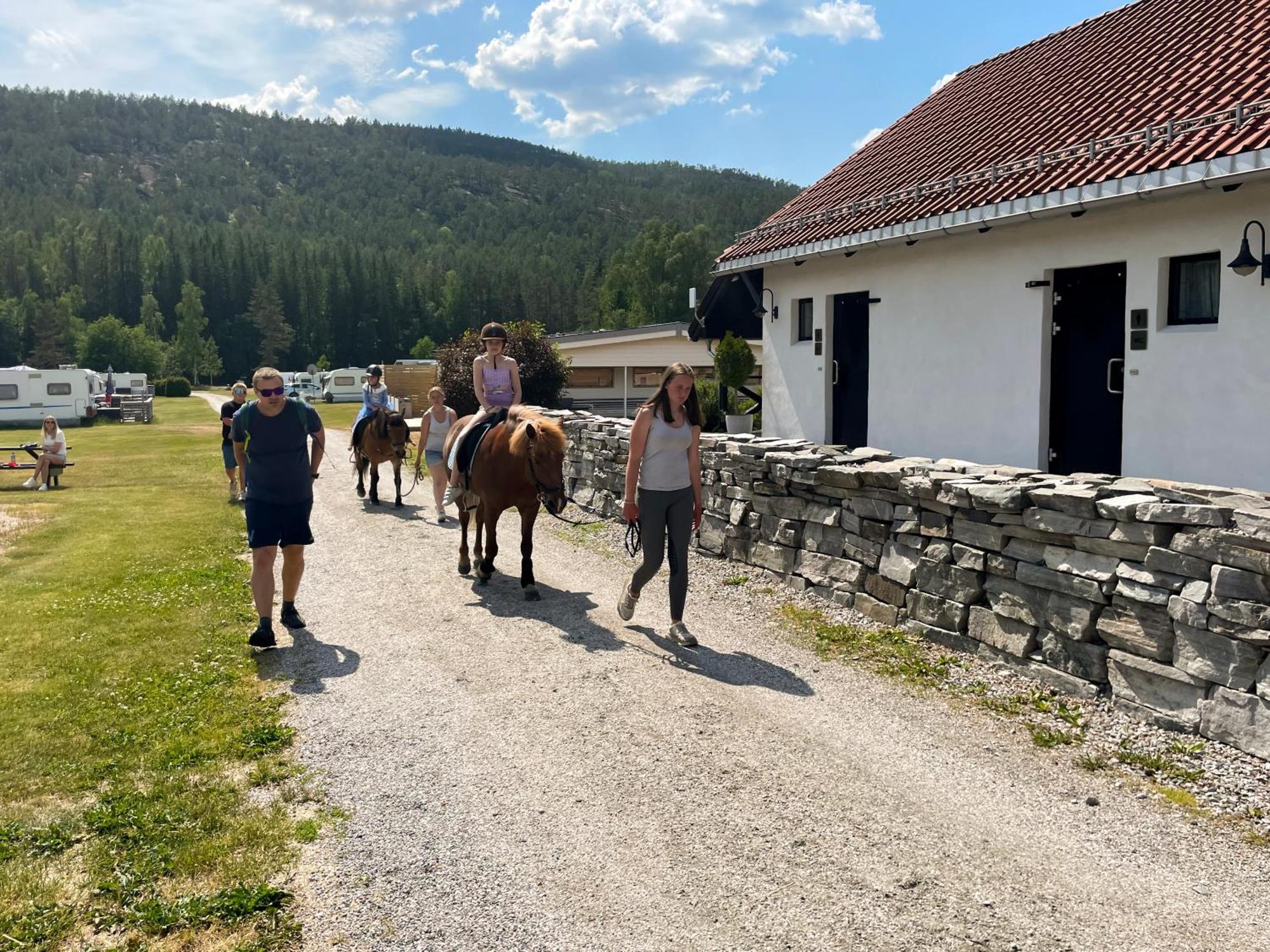 Hegna Camping Seljord Buitenkant foto